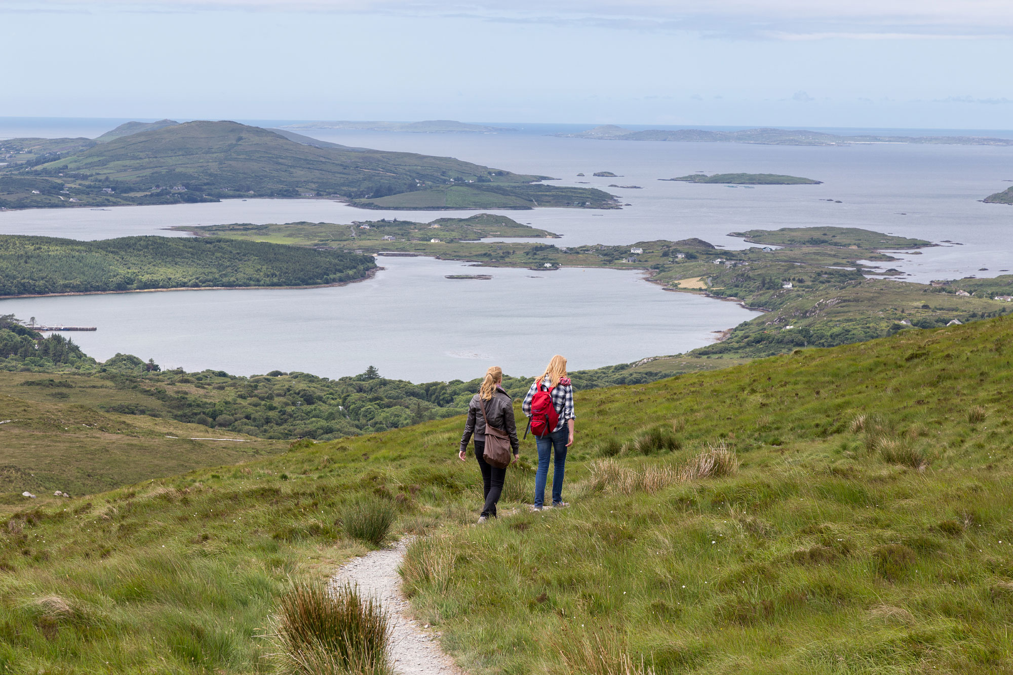 Connemara Nationa Park, Letterfrack (Photo License CC-BY-SA-4.0)